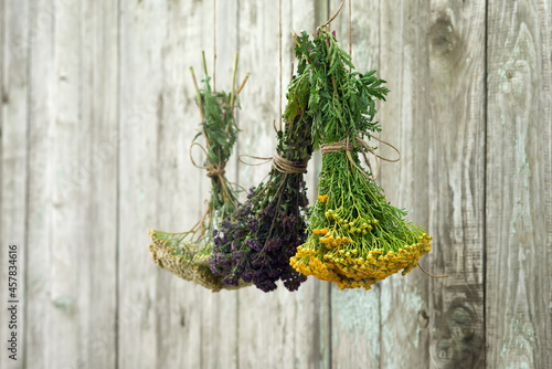 Yarrow, marjoram and tansy dry on a rope in the garden near the old wooden fance