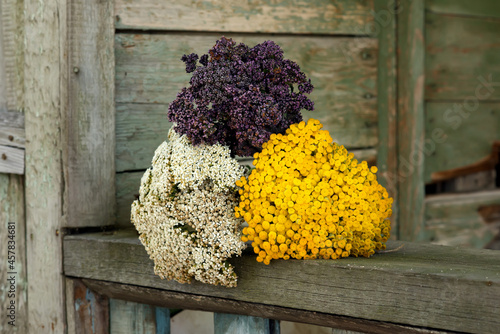 Yarrow, marjoram and tansy dry on a rope in the garden near the old wooden fance