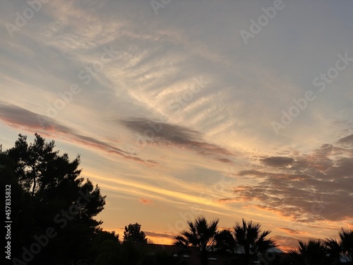Sonnenuntergang, Palmen