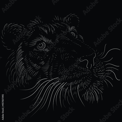 The Vector logo tiger for tattoo or T-shirt design or outwear.  Hunting style big cat print on black background. This hand drawing is for black fabric or canvas.