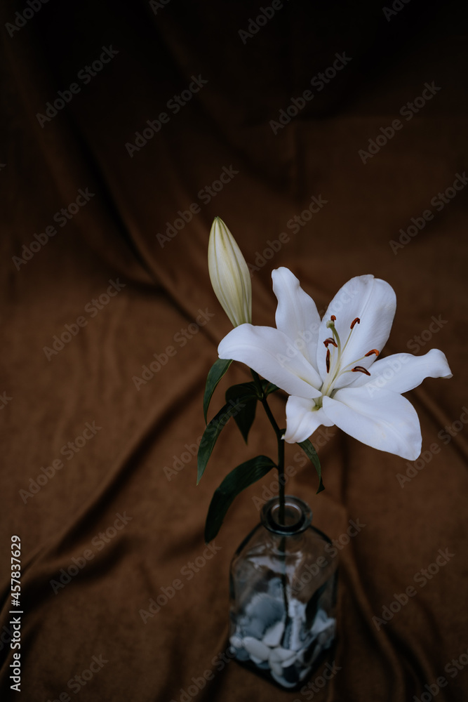 Flor azucena en jarrón de cristal