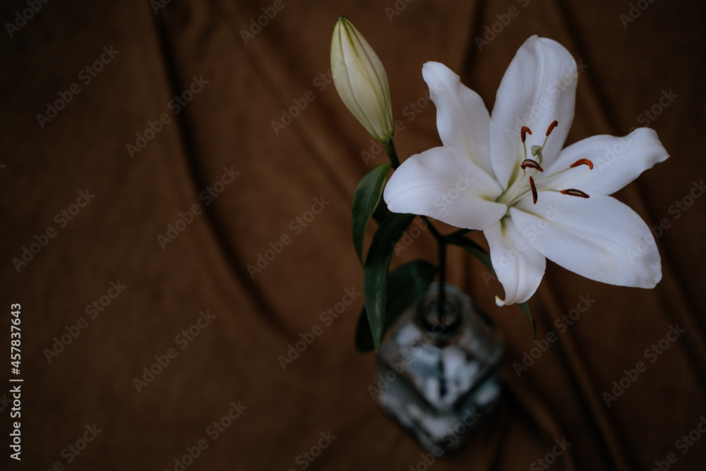 Flor azucena en jarrón de cristal