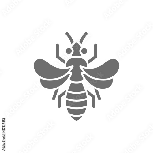 Honey bee, beekeeping grey icon. Isolated on white background