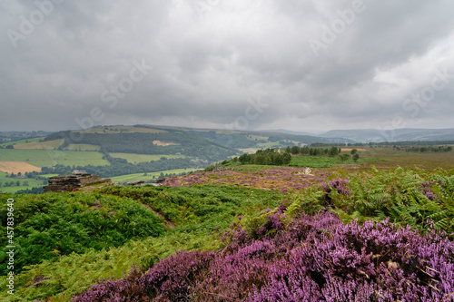 An unseasonably grey, misty summer day in the heather and bracken covered Derbyshire Peak District photo