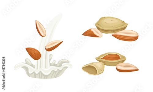 Blanched and Unshelled Almond Nut as Edible Seed and Milk Splash Vector Set