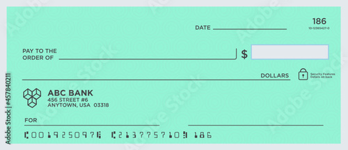 Blank Check Vector Mint
