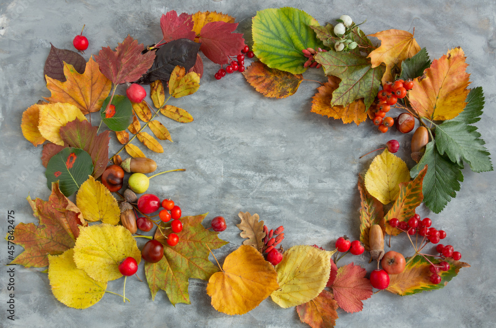 Autumn composition, dried leaves, berries on gray background, thanksgiving day concept. Flat lay, top view, copy space