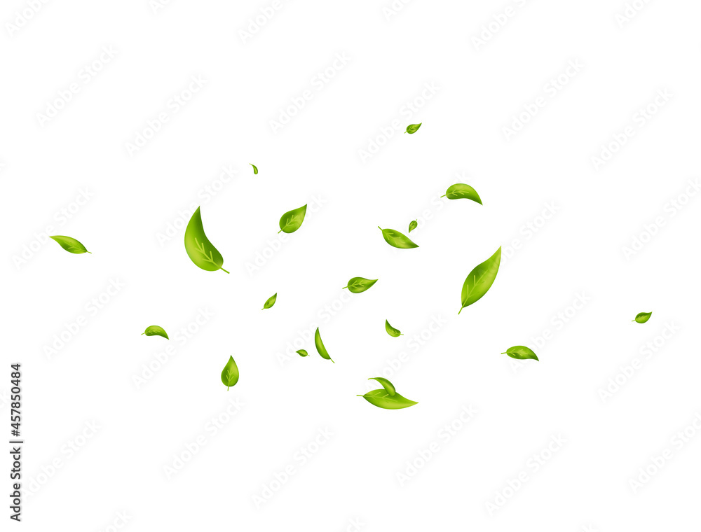 Green leaves flying on white banner. Vegan, eco, organic design element. Leaf falling. Wave foliage ornament. Beauty product. Fresh tea background. Cosmetic pattern border. Vector illustration Green leaves flying on white banner. Vegan, eco, organic design element. Leaf falling. Wave foliage ornament. Beauty product. Fresh tea background. Cosmetic pattern border. Vector illustration