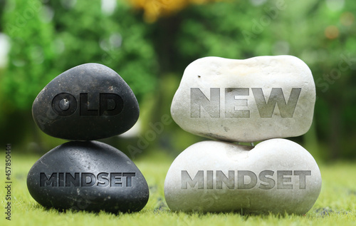 Mindset Concept. Old mindset new mindset. New mindset new result.