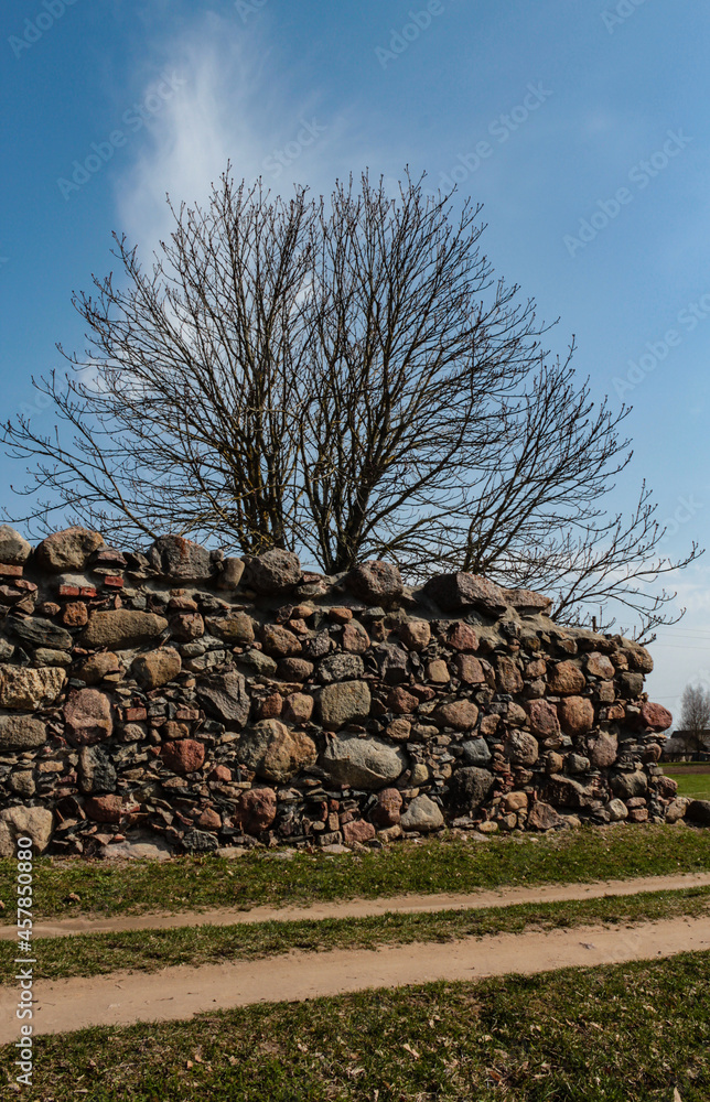 An old stone wall with a tree at the back in a rural setting
