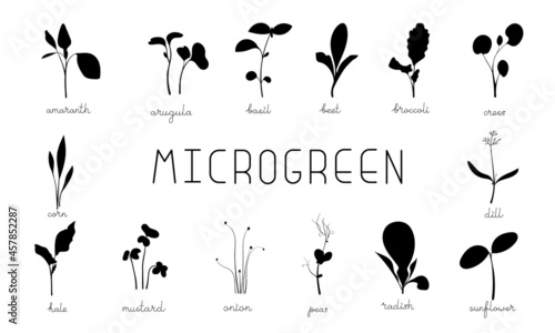 Microgreen sprouts black silhouette symbol collection. Set vector icons illustration. 