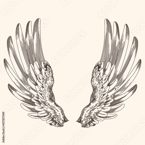 Two spread wings of an angel made of feathers isolated on a beige background.