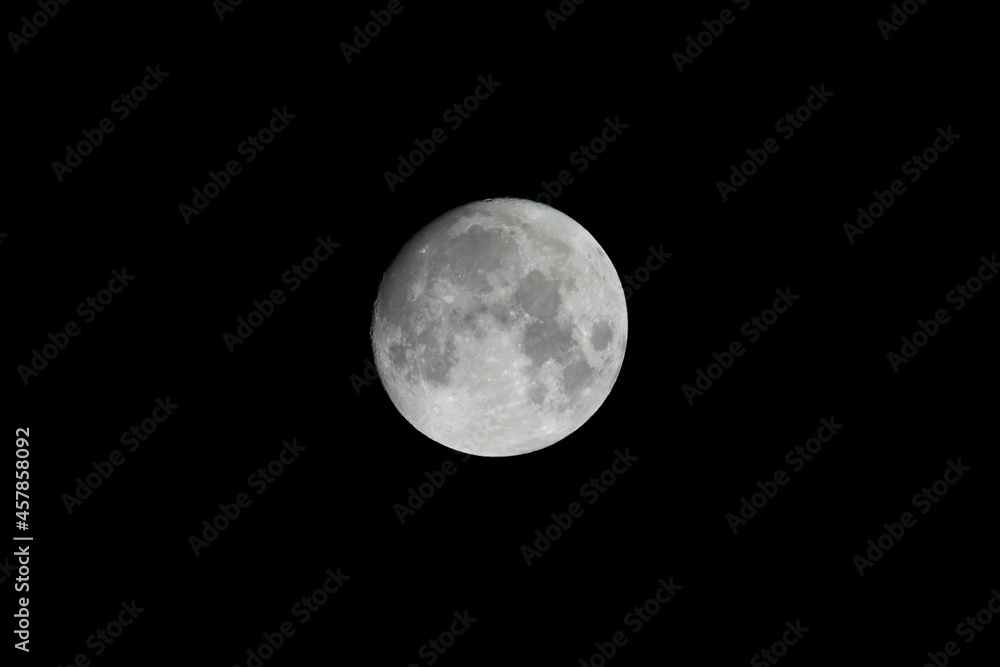 Naklejka premium 十三夜の月