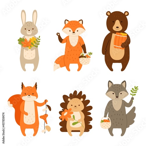 Fototapeta Naklejka Na Ścianę i Meble -  Woodland animals set. Autumn. Characters isolated on white background. Vector illustration for children in flat style.