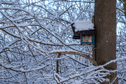 Bäume mit Schnee in der Hansestadt Rostock im Winter © Rico Ködder
