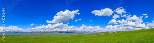 Green grassland natural scenery in Xinjiang,China.Wide grassland and blue sky with white clouds landscape.panoramic view.