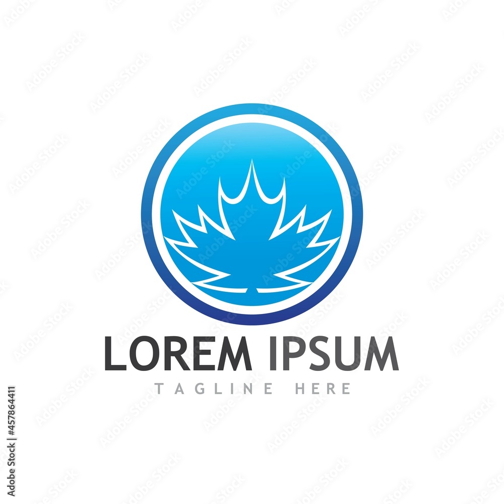 Maple leaf vector illustration Maple leaf vector illustration