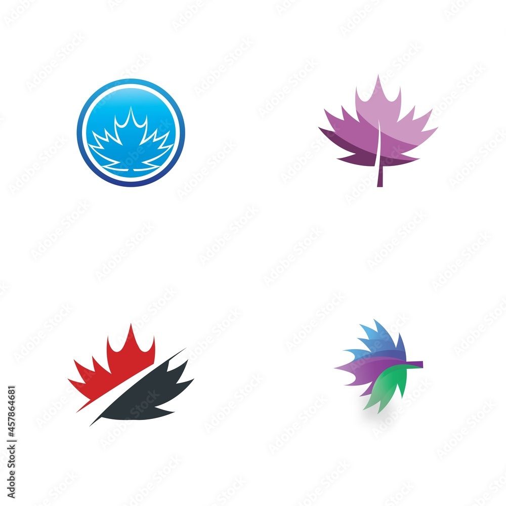 Maple leaf vector illustration Maple leaf vector illustration