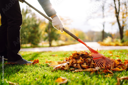 Rake with fallen leavesin the park. Autumn garden works.  Volunteering, cleaning, and ecology concept. photo