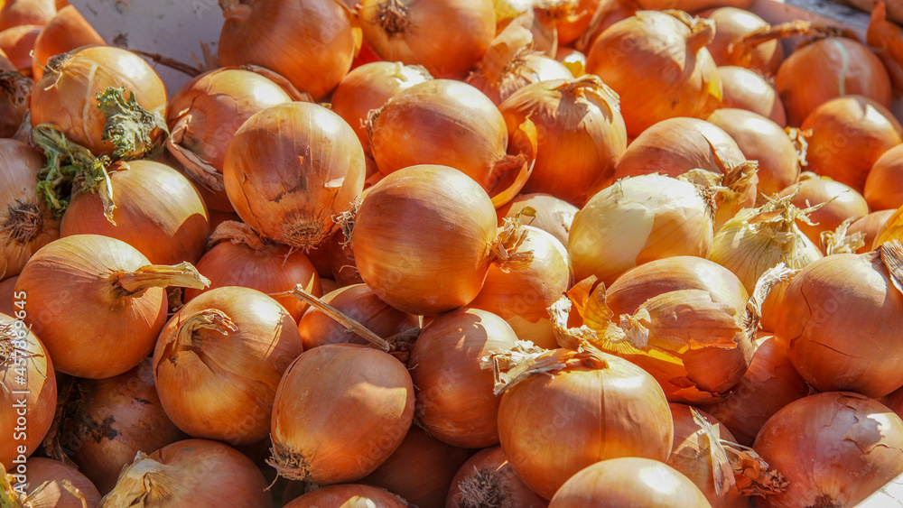 Montón de cebollas española en un puesto de mercado callejero en Alicante Montón de cebollas española en un puesto de mercado callejero en Alicante