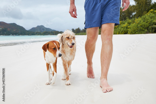 Low section of young man walking on white sand beach with cute dogs.