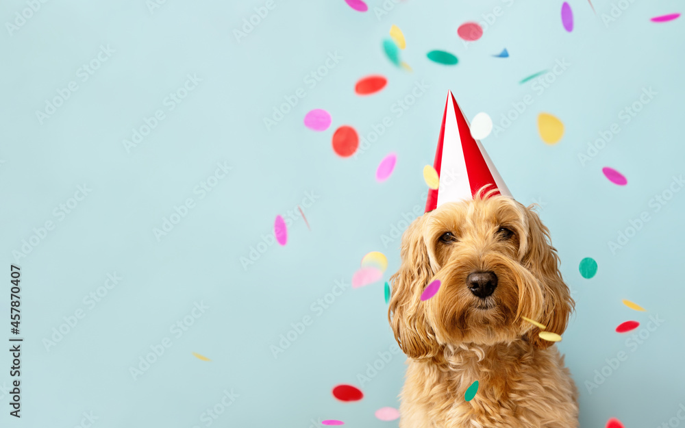Cute dog celebrating at a birthday party - obrazy, fototapety, plakaty 