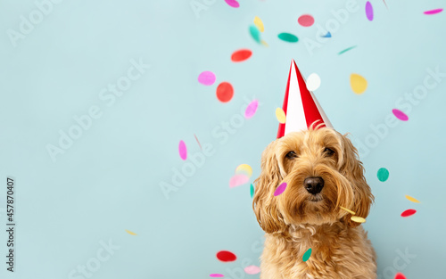 Canvas Print Cute dog celebrating at a birthday party