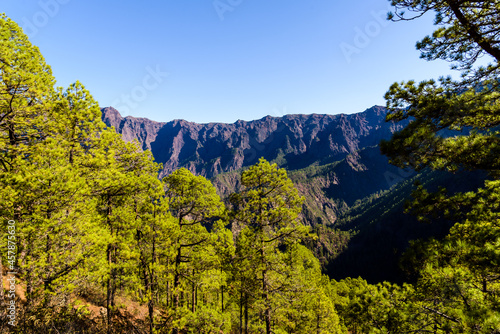 National Park of Caldera de Taburiente. Old Volcano Crater with Canarian Pine Trees Forest