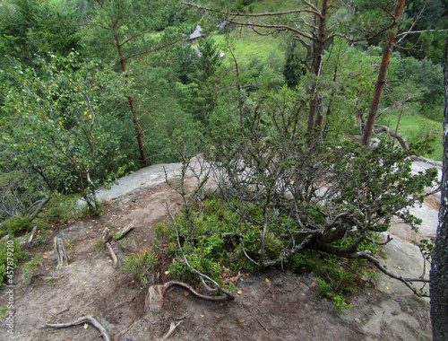 moss covered rocks