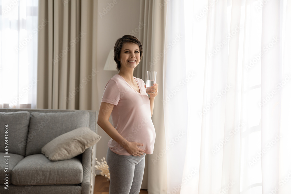 Portrait of young expectant woman standing by window at living room holding glass of transparent filtered water. Happy healthy future mom look at camera relax at home drink fresh pure aqua. Copy space Portrait of young expectant woman standing by window at living room holding glass of transparent filtered water. Happy healthy future mom look at camera relax at home drink fresh pure aqua. Copy space