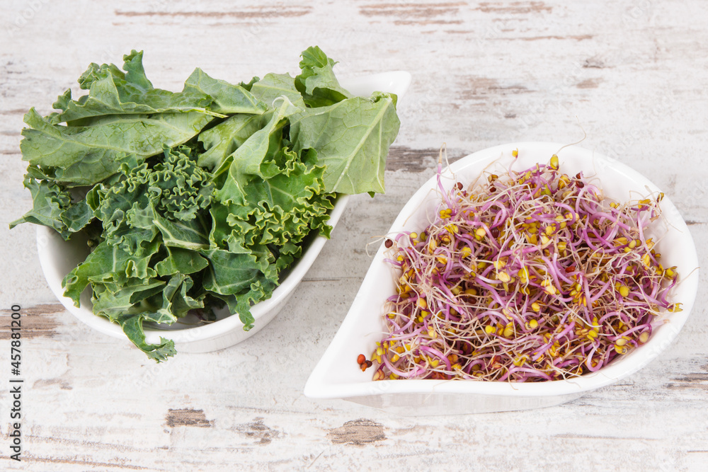 Sprouted kale seeds and leaves of vegetable. Healthy lifestyle and nutrition concept Sprouted kale seeds and leaves of vegetable. Healthy lifestyle and nutrition concept