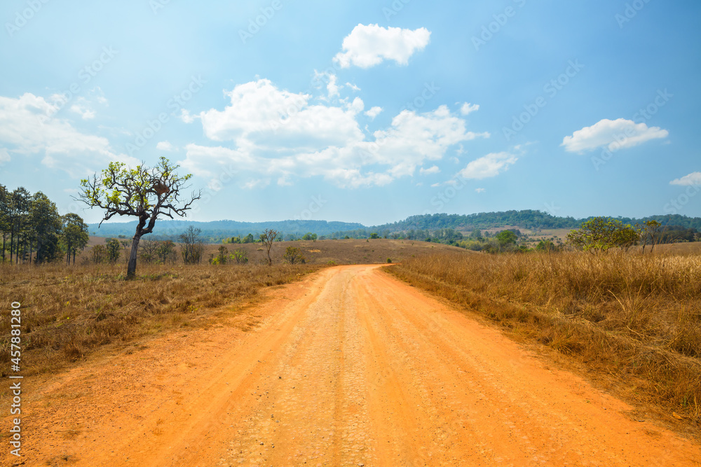 Dirt road with the meadow in countryside