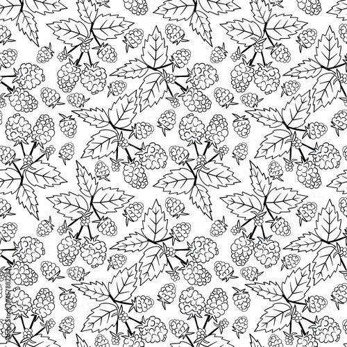Red barberry with leaves on a white background.