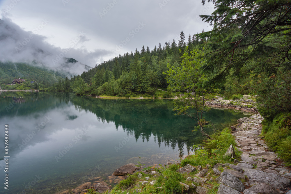 Foggy, summer forest and lakes in the High Tatras Mountains