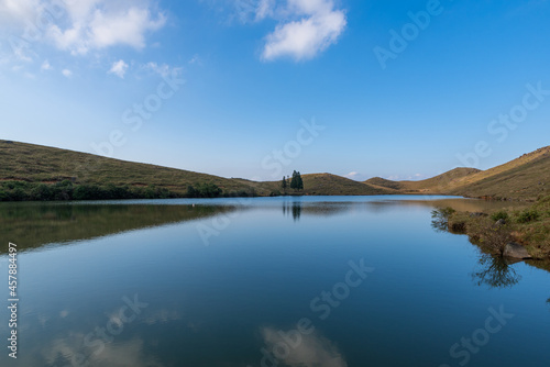 The meadow by the lake is blue and the water is blue and the grass is yellow