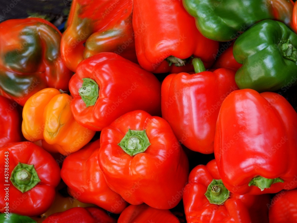 various,multicolor fruits of peppers vegetable close up various,multicolor fruits of peppers vegetable close up