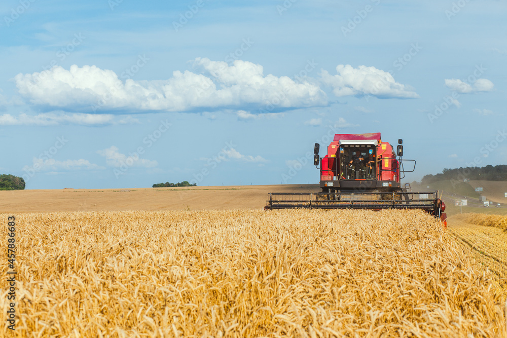 Obraz premium Combine harvester harvesting ripe wheat