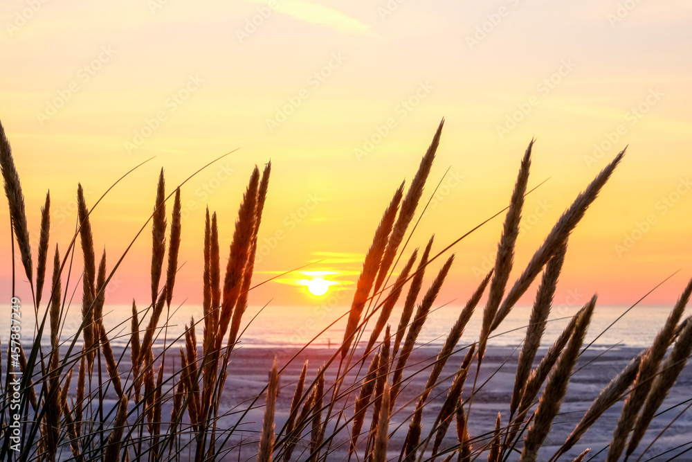 Gorgeous Sunset on the Coast of northern Jutland, Denmark, Europe