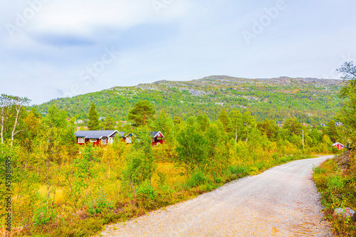 Panorama with fir trees pines mountains nature landscape Hovden Norway. photo