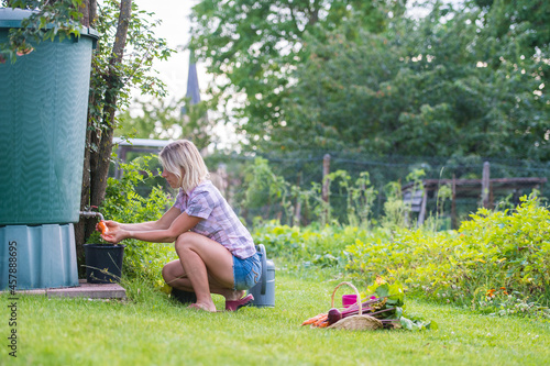 Une femme nettoie les légumes du jardin  © Stéphane Galonnier
