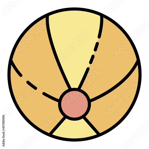 Aquapark ball icon. Outline aquapark ball vector icon color flat isolated