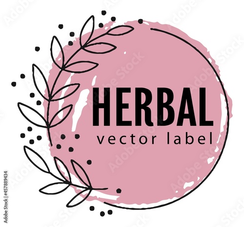 Herbal and natural, botany emblem or banner vector