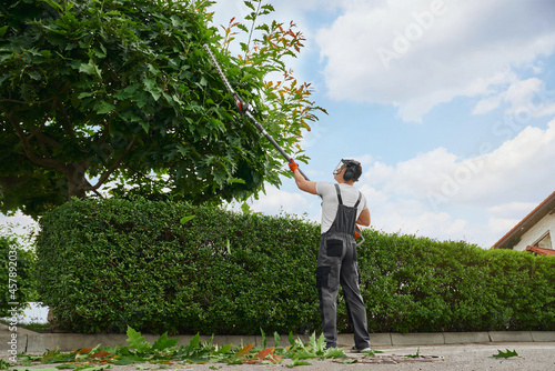 Photographie Back view of professional gardener in overalls, protective mask and gloves pruning trees outdoors