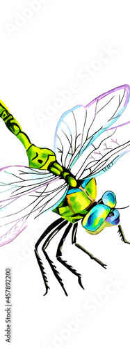 Vertical banner. Hand drawn watercolor colorful illustration of blue and green dragonfly isolated on white background. Bookmark. 