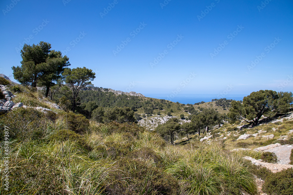 hiking around the puig de galatzo, Mallorca