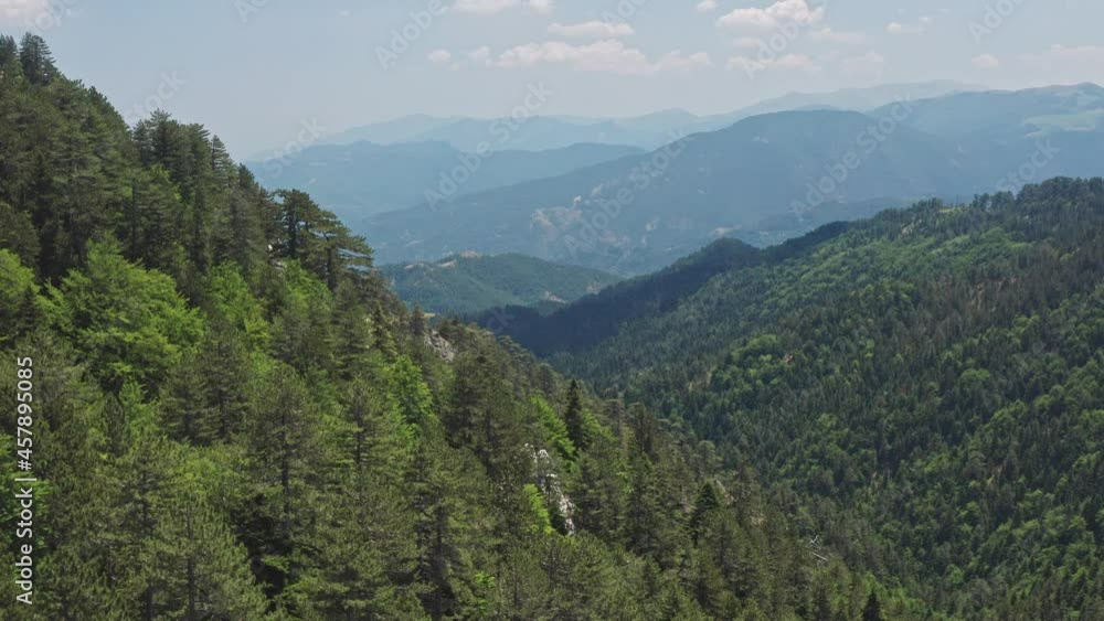 4K aerial view to Katara forest - Epirus, Greece 4K aerial view to Katara forest - Epirus, Greece