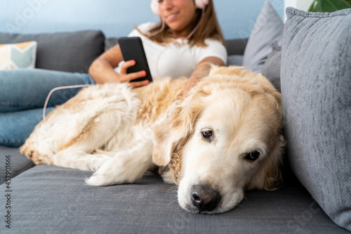 Selective focus of caucasian woman listening to music in her phone with dog. Horizontal view of depressed dog lying in the couch. People and dogs lifestyles.