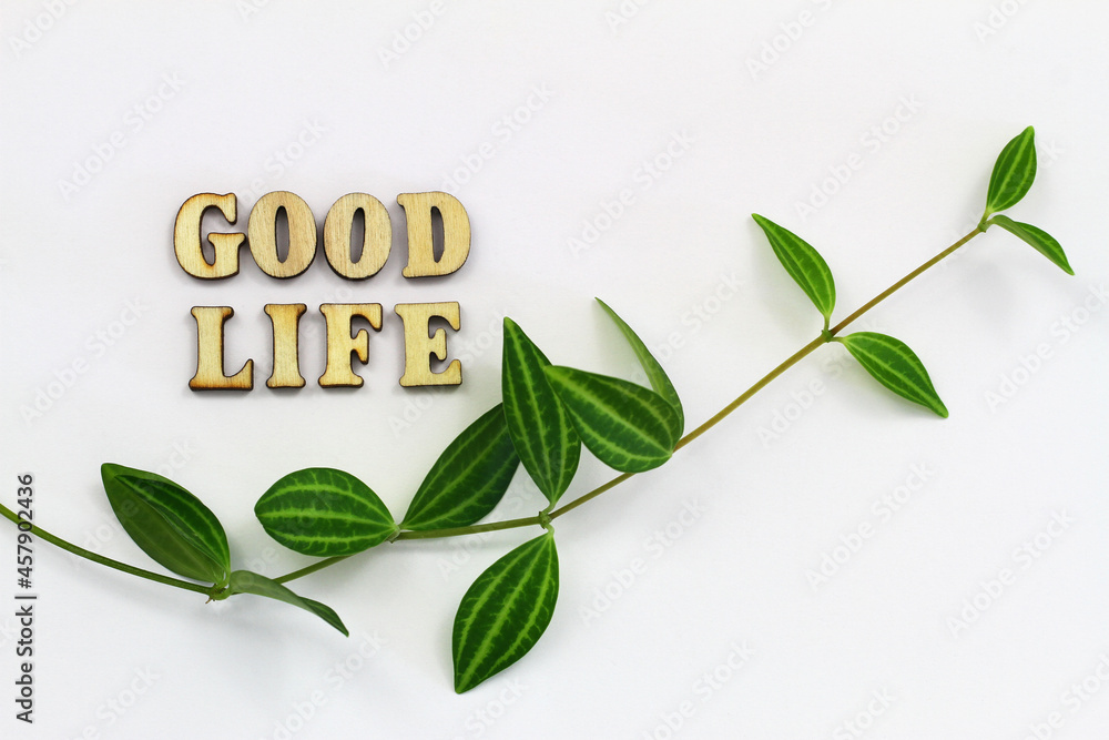Good life written with wooden letters on white surface with green leaves