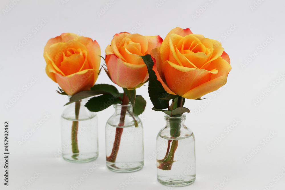Three orange roses in miniature transparent glass bottles on white background with copy space