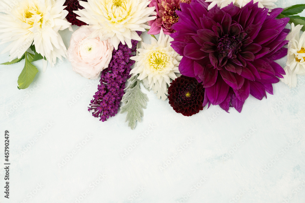 Beautiful fresh dahlia flower floral flat lay on light textured background